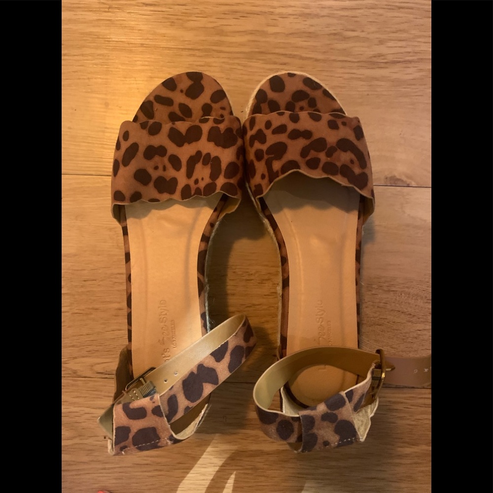 Cheetah Platforms